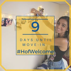Image post by @hofstrau on Instagram