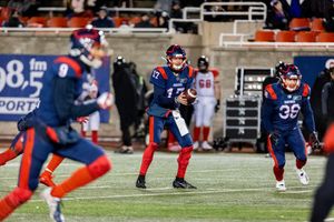 Image post by @mtlalouettes on Instagram
