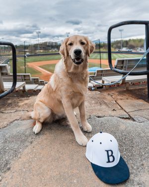Image post by @bjubruins on Instagram