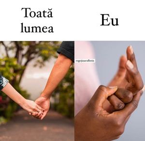 Image post by @rogojinaruflorin on Instagram