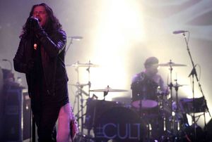 Image post by @thewarfield on Instagram