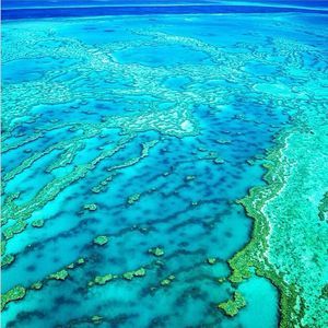 Image post by @leonardodicaprio on Instagram