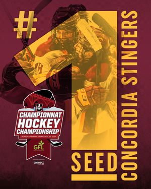 Image post by @the_stingers on Instagram