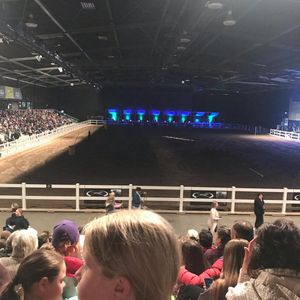 Image post by @equinecareprobiotic on Instagram