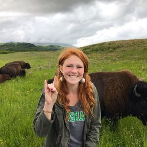 Image post by @marshallu on Instagram