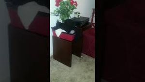 Video post by @investigationdiscovery on YouTube