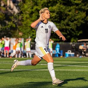 Image post by @gopetrels on Instagram