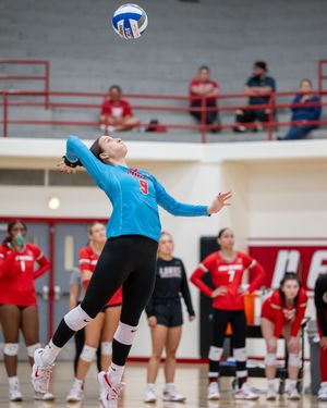 Image post by @unmlobovb on Instagram