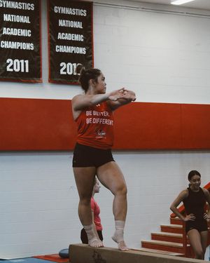 Image post by @semogymnastics on Instagram