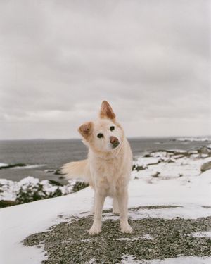 Image post by @moment on Instagram