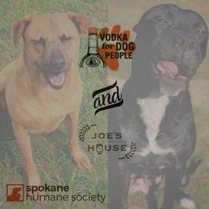 Image post by @spokhumanesoc on Instagram