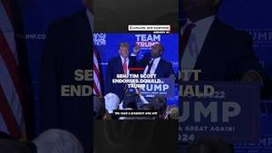 Video post by @cnn on YouTube
