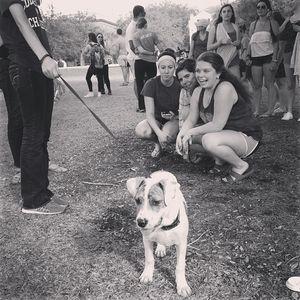 Image post by @collegeofcharleston on Instagram