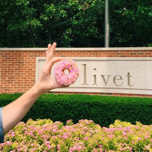 Image post by @olivetnazarene on Instagram
