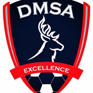 Image post by @dmsocceracademy on Instagram