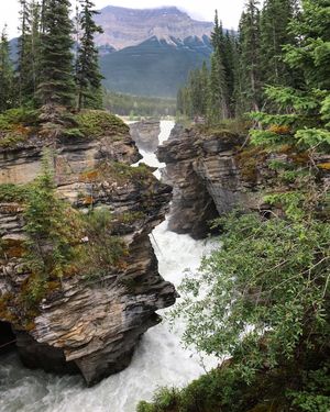 Image post by @emilyventures on Instagram