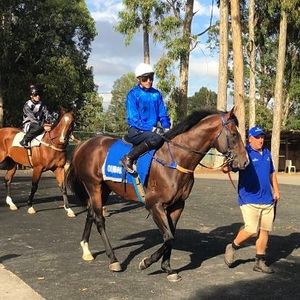 Image post by @australianturfclub on Instagram