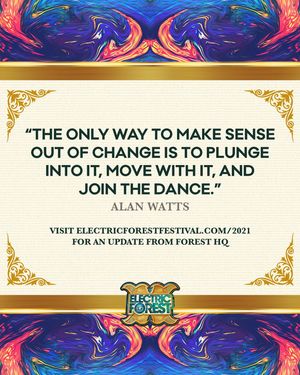 Image post by @electric_forest on Instagram