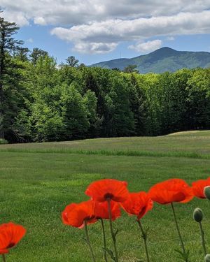 Image post by @nationalparkservice on Instagram