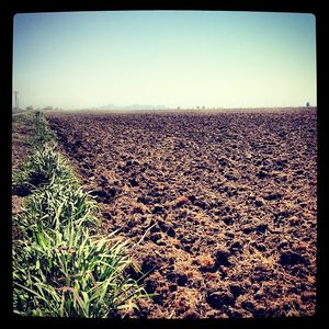Image post by @lundbergfarms on Instagram