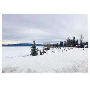 Image post by @hellomeridian on Instagram