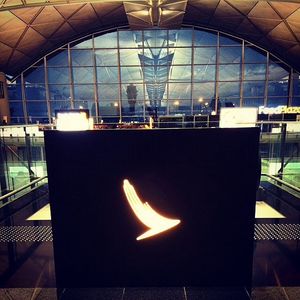 Image post by @cathaypacific on Instagram