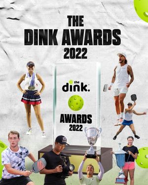 Image post by @thedinkpickleball on Instagram