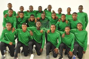 Image post by @nigeriaolympic on Instagram
