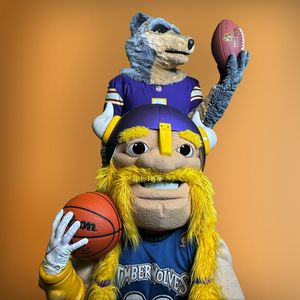 Image post by @ViktorTheViking on Twitter