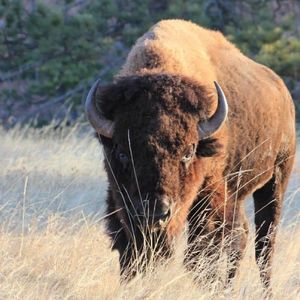 Image post by @nationalparkservice on Instagram