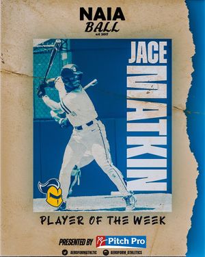 Image post by @naiaball on Twitter