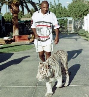 Image post by @miketyson on Instagram