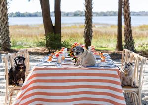 Image post by @bbjlinen on Instagram