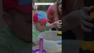 Video post by @abc15 on YouTube