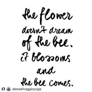 Image post by @lifesadiscoball on Instagram