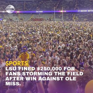 Image post by @lsutigertv on Instagram