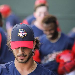 Image post by @memphisredbirds on Instagram