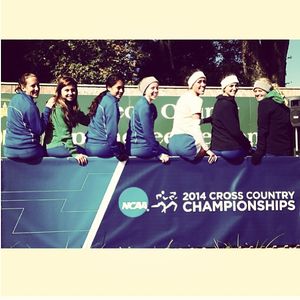 Image post by @fgcu_xc on Instagram
