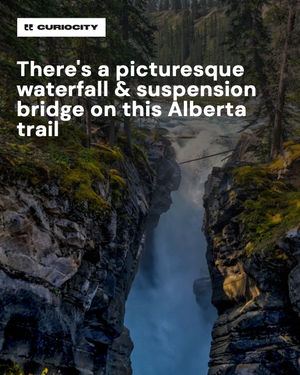 Image post by @curiocitycalgary on Instagram
