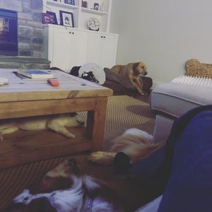 Image post by @maxpapis on Instagram