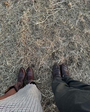 Image post by @alyssthomp on Instagram