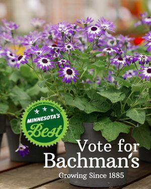 Image post by @shopbachmans on Instagram
