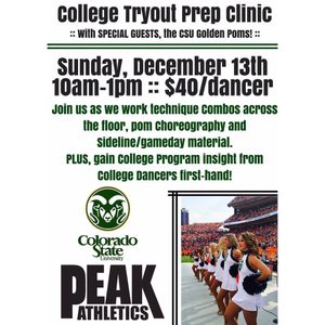Image post by @csugoldenpoms on Instagram
