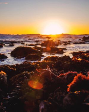 Image post by @pebblebeachresorts on Instagram