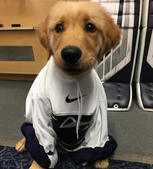 Image post by @pennstatemhky on Instagram