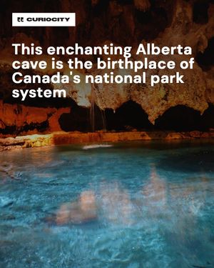 Image post by @curiocitycalgary on Instagram