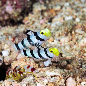Image post by @discovery on Instagram