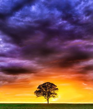 Image post by @jpotterphoto on Instagram