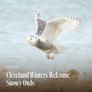 Image post by @clevelandmagazine on Instagram