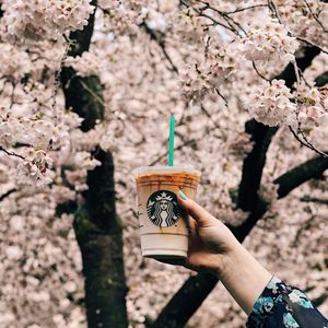 Image post by @starbucks on Instagram